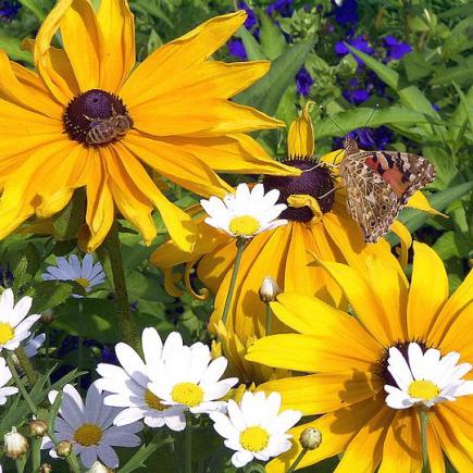 Keeping Written Detail Somewhere Safe and Accessible